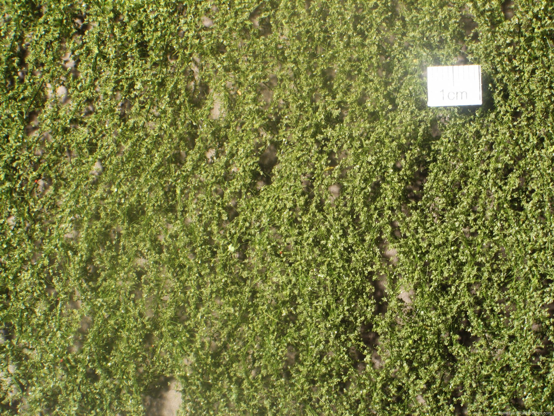 Silhouette Silflor MiniNatur 910-12 Birch foliage, Summer   27x15 cm