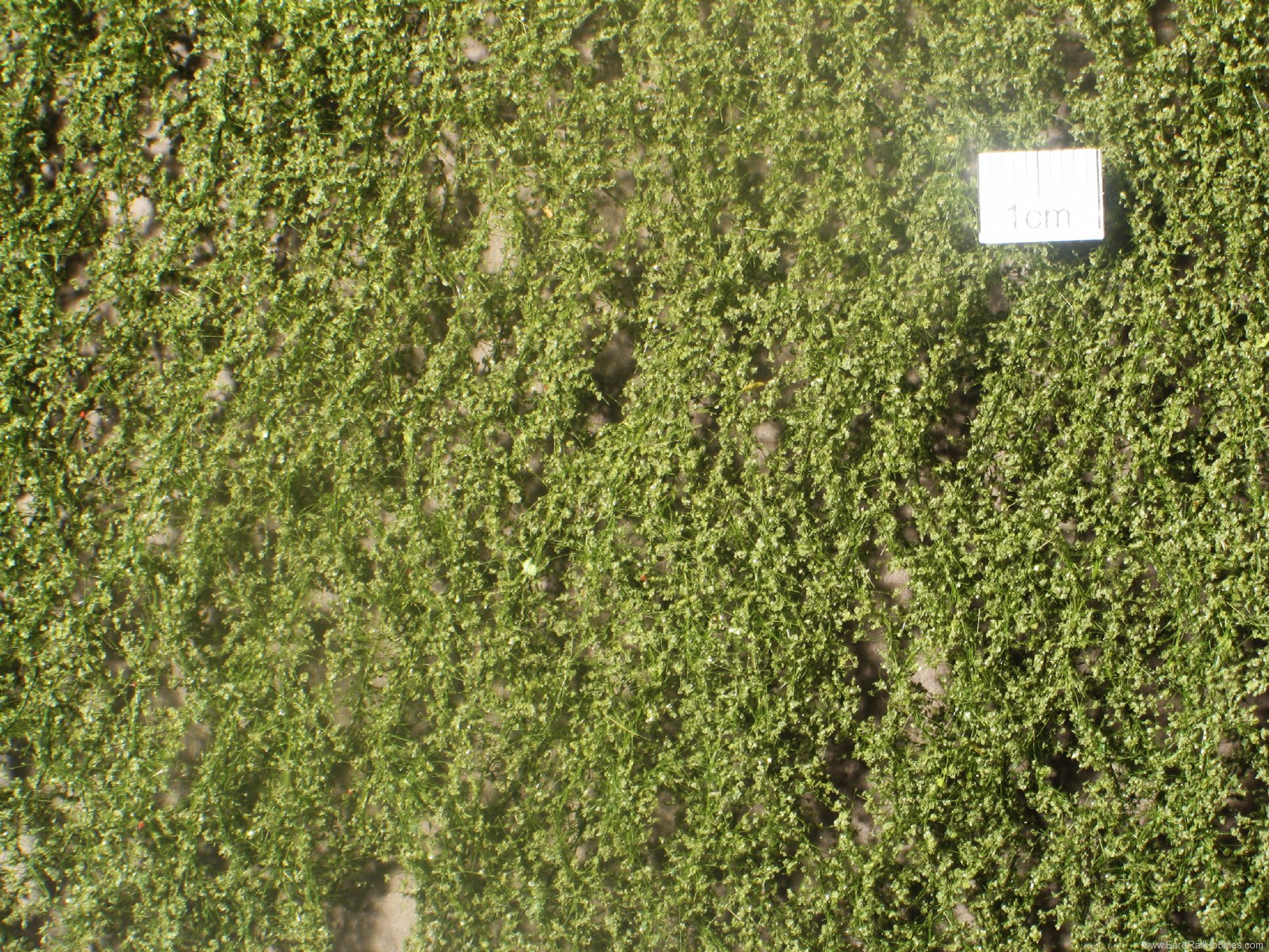 Silhouette Silflor MiniNatur 910-12G Birch foliage, Summer (63x50 cm)