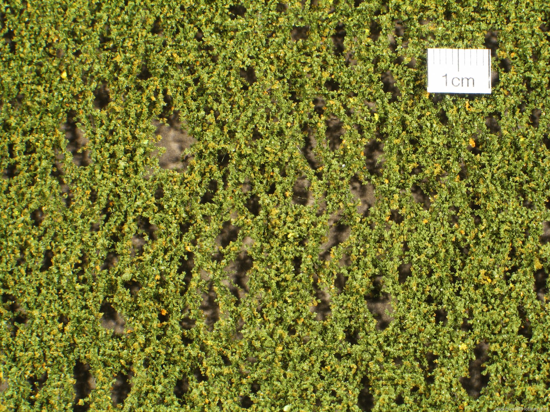 Silhouette Silflor MiniNatur 910-13G Birch foliage, Early Fall   63x50 cm