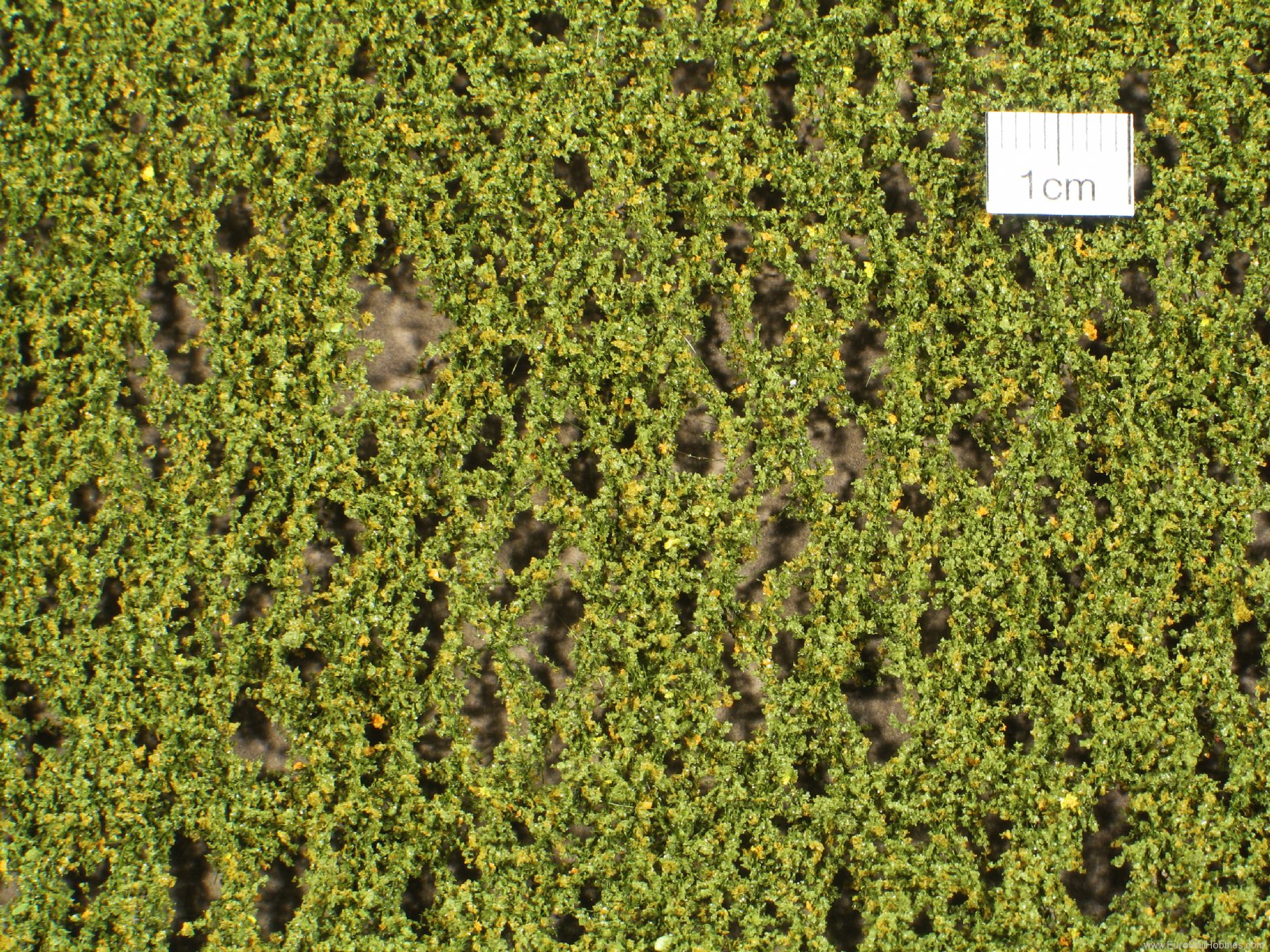 Silhouette Silflor MiniNatur 910-13S Birch foliage, Early Fall (15x4 cm)
