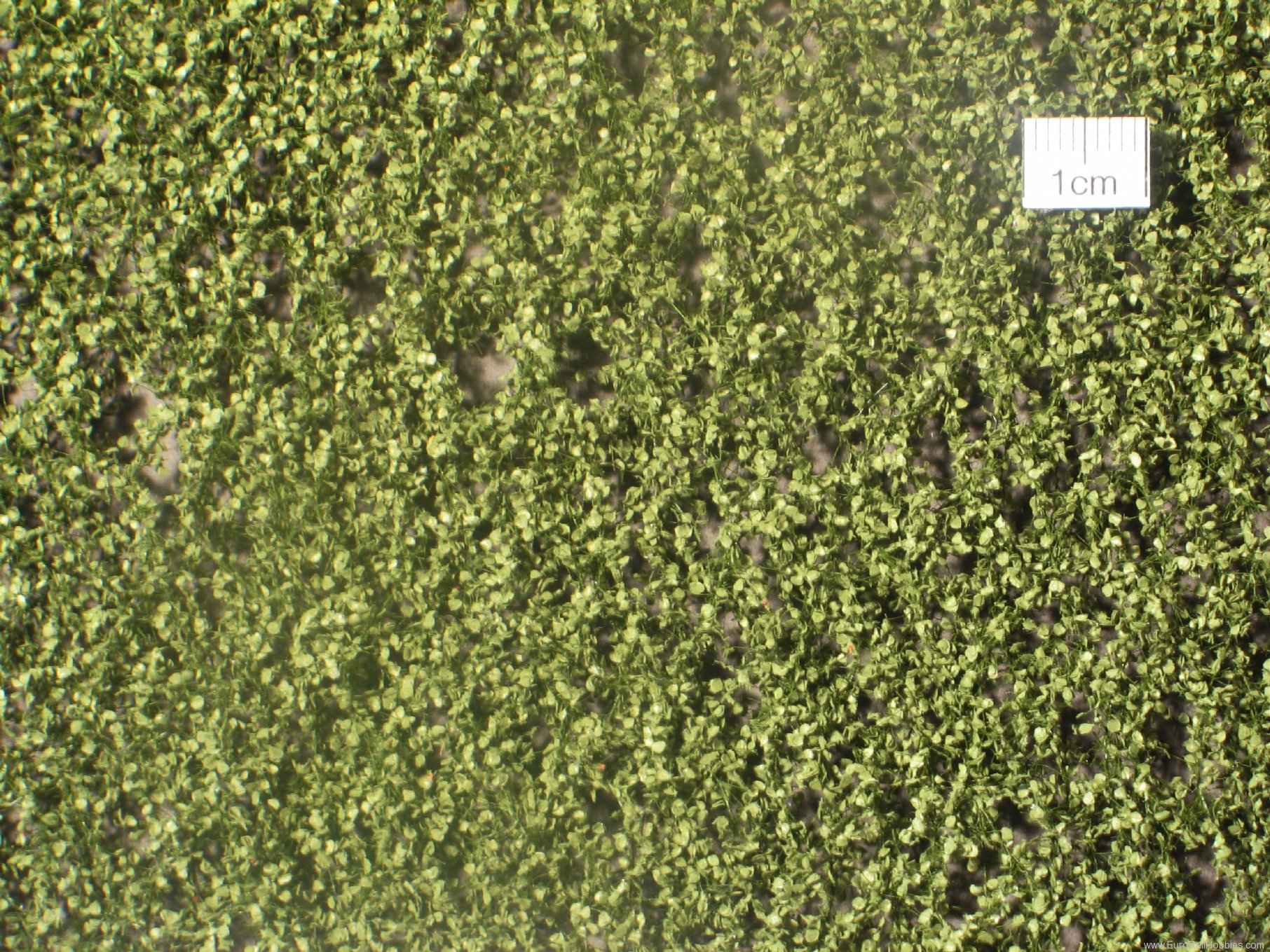Silhouette Silflor MiniNatur 910-22 Birch foliage, Summer (27x15 cm)