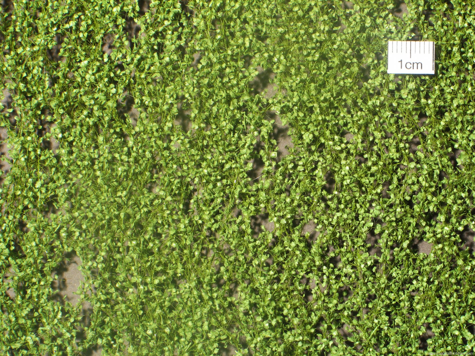 Silhouette Silflor MiniNatur 913-21 Lombardy poplar foliage, Spring (27x15 cm)