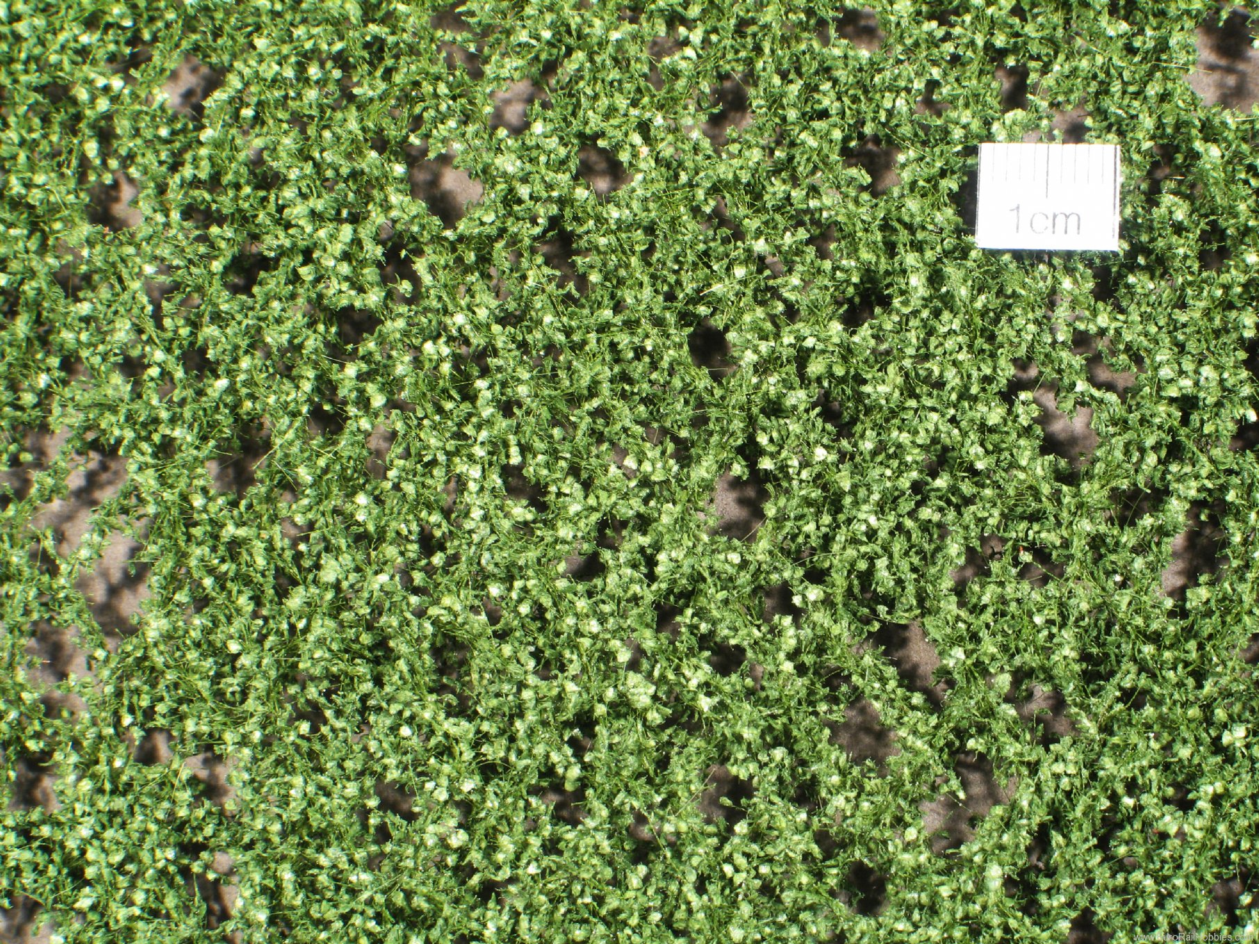 Silhouette Silflor MiniNatur 913-32S Lombardy Poplar foliage, Summer  15x4 cm