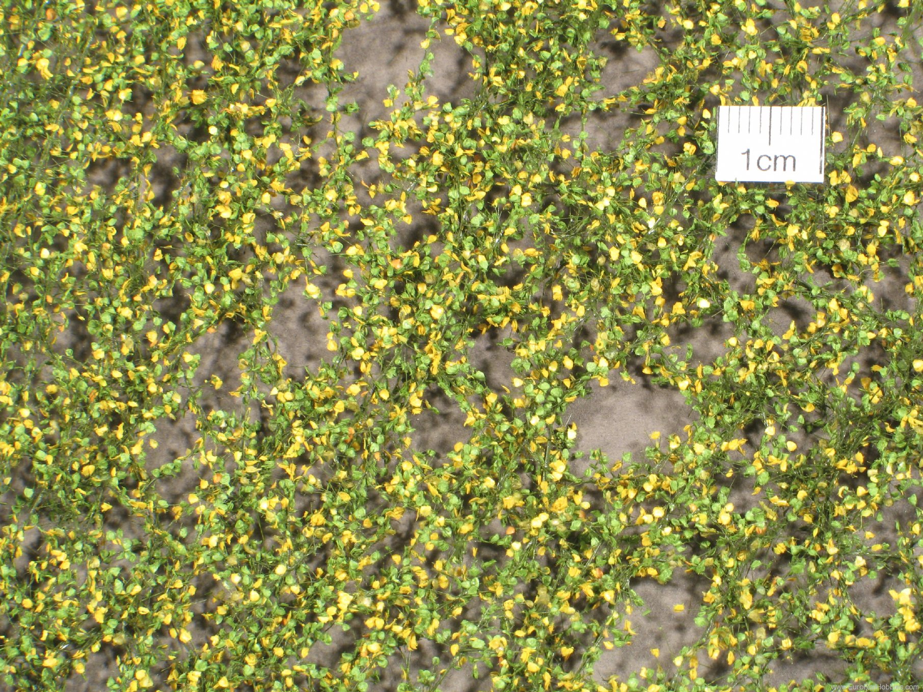 Silhouette Silflor MiniNatur 913-33G Lombardy Poplar foliage, Early Fall   63x50 c