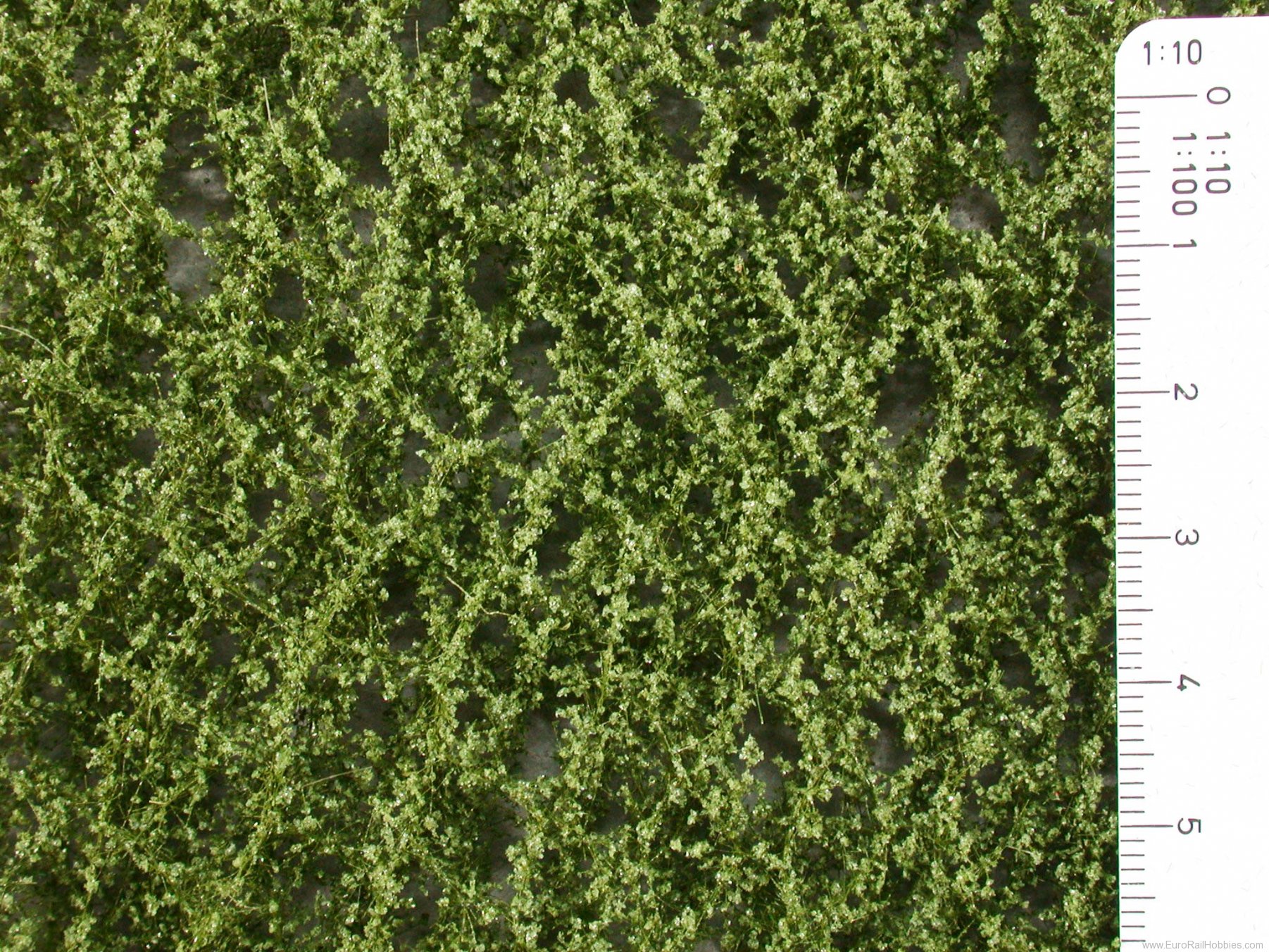 Silhouette Silflor MiniNatur 920-12S Beech foliage, Summer (15x4 cm)