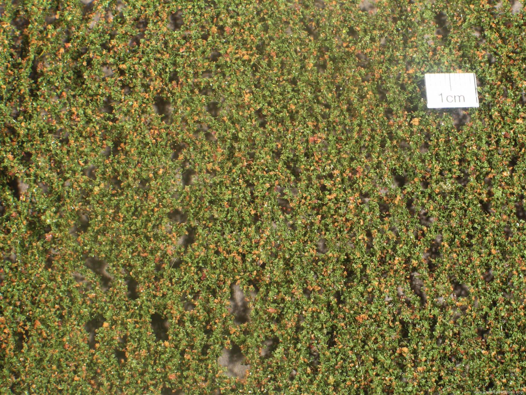 Silhouette Silflor MiniNatur 920-13 Beech foliage, Early Fall (27x15 cm)