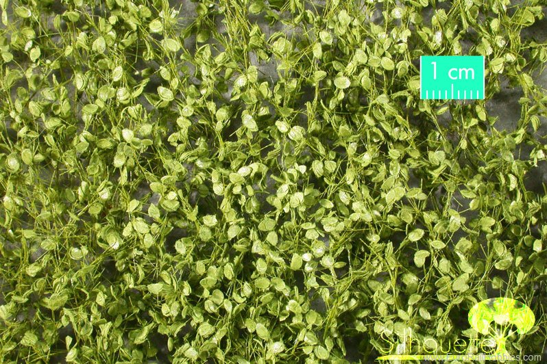 Silhouette Silflor MiniNatur 920-31 Beech foliage, Spring (27x15 cm)