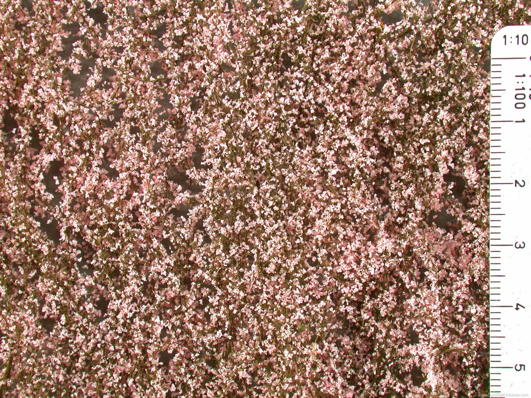 Silhouette Silflor MiniNatur 927-25H Cherry blossoms, Pink   50x31,5 cm