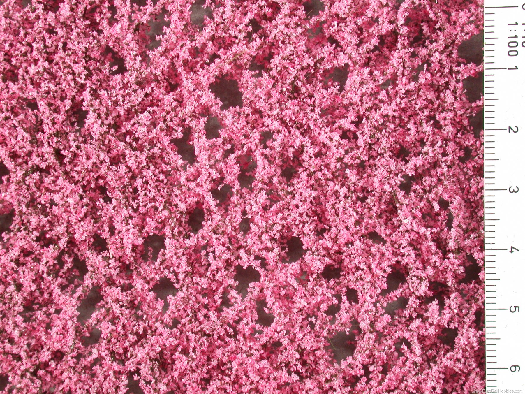 Silhouette Silflor MiniNatur 928-21H Apricot blossoms, Spring   50x31,5 cm