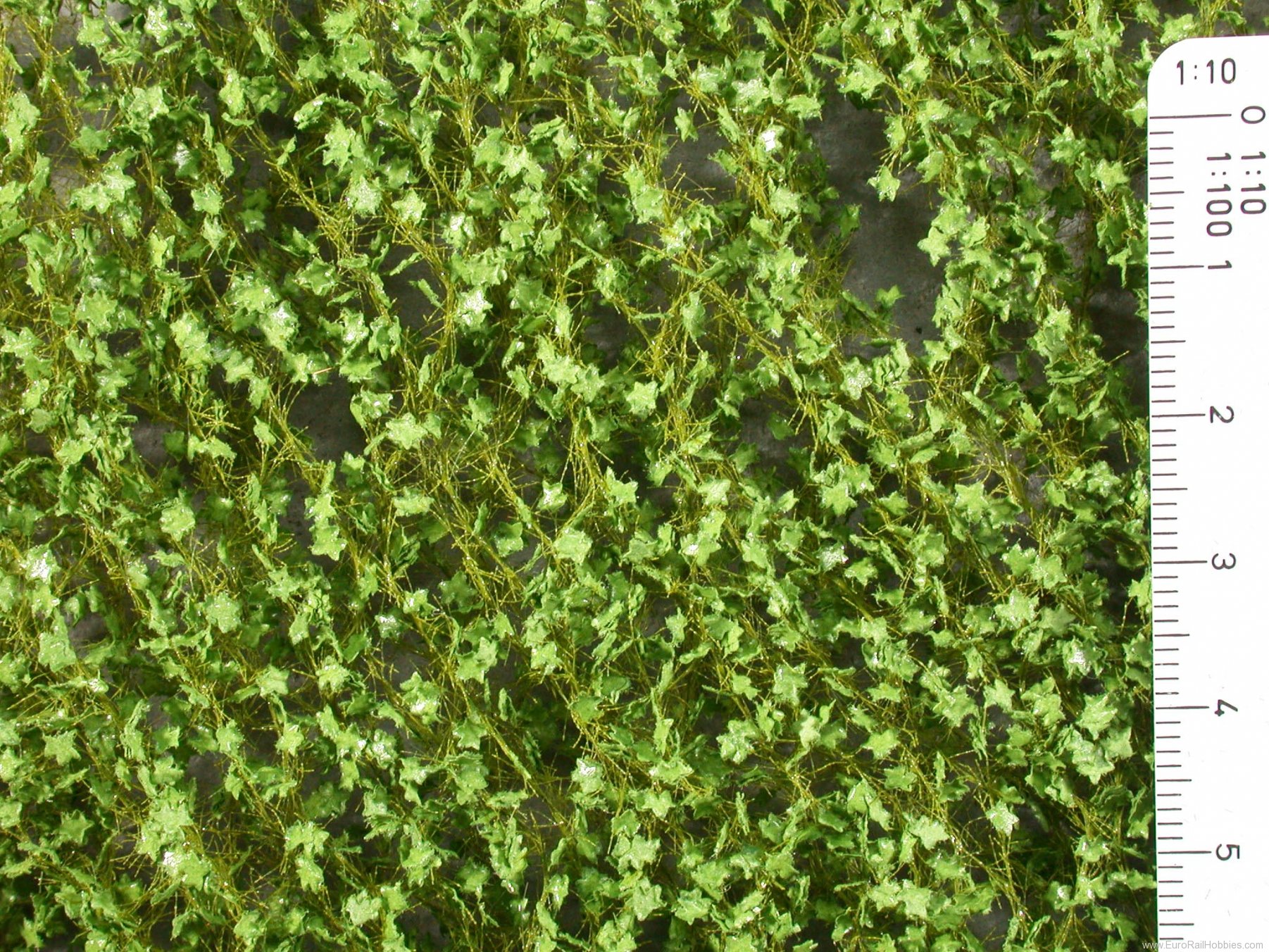 Silhouette Silflor MiniNatur 930-21G Maple foliage, Spring   63x50 cm