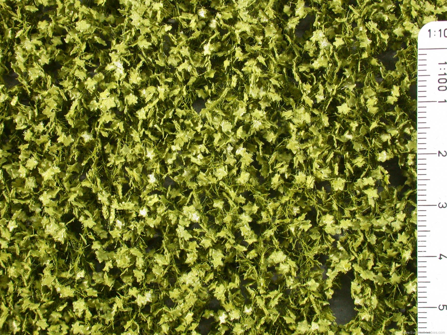 Silhouette Silflor MiniNatur 933-21G Plane Tree-foliage, Spring   63x50 cm