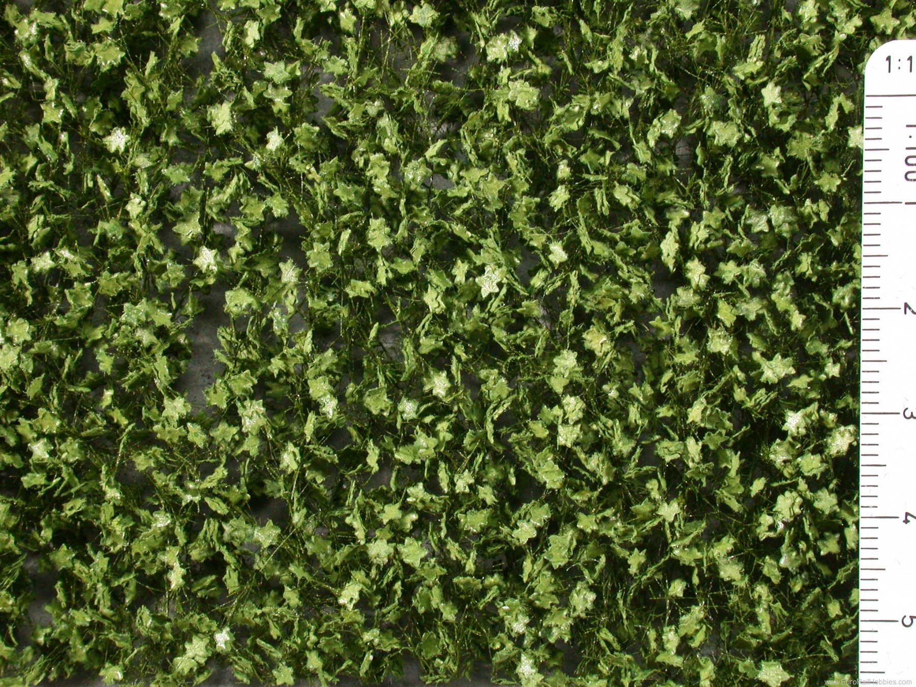 Silhouette Silflor MiniNatur 933-22G Plane Tree-foliage, Summer   63x50 cm