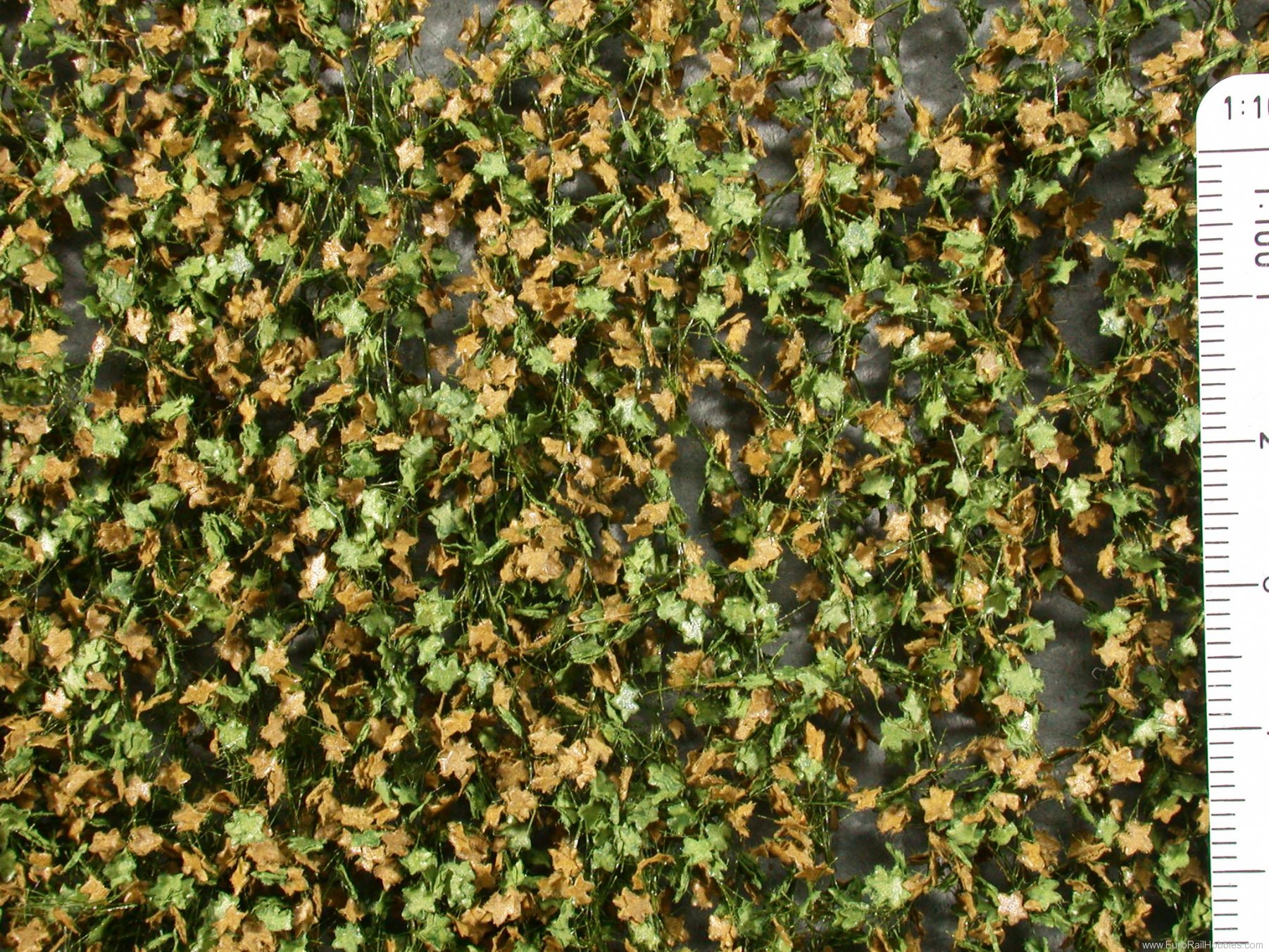 Silhouette Silflor MiniNatur 933-23 Plane Tree-foliage, Early Fall   27x15 cm