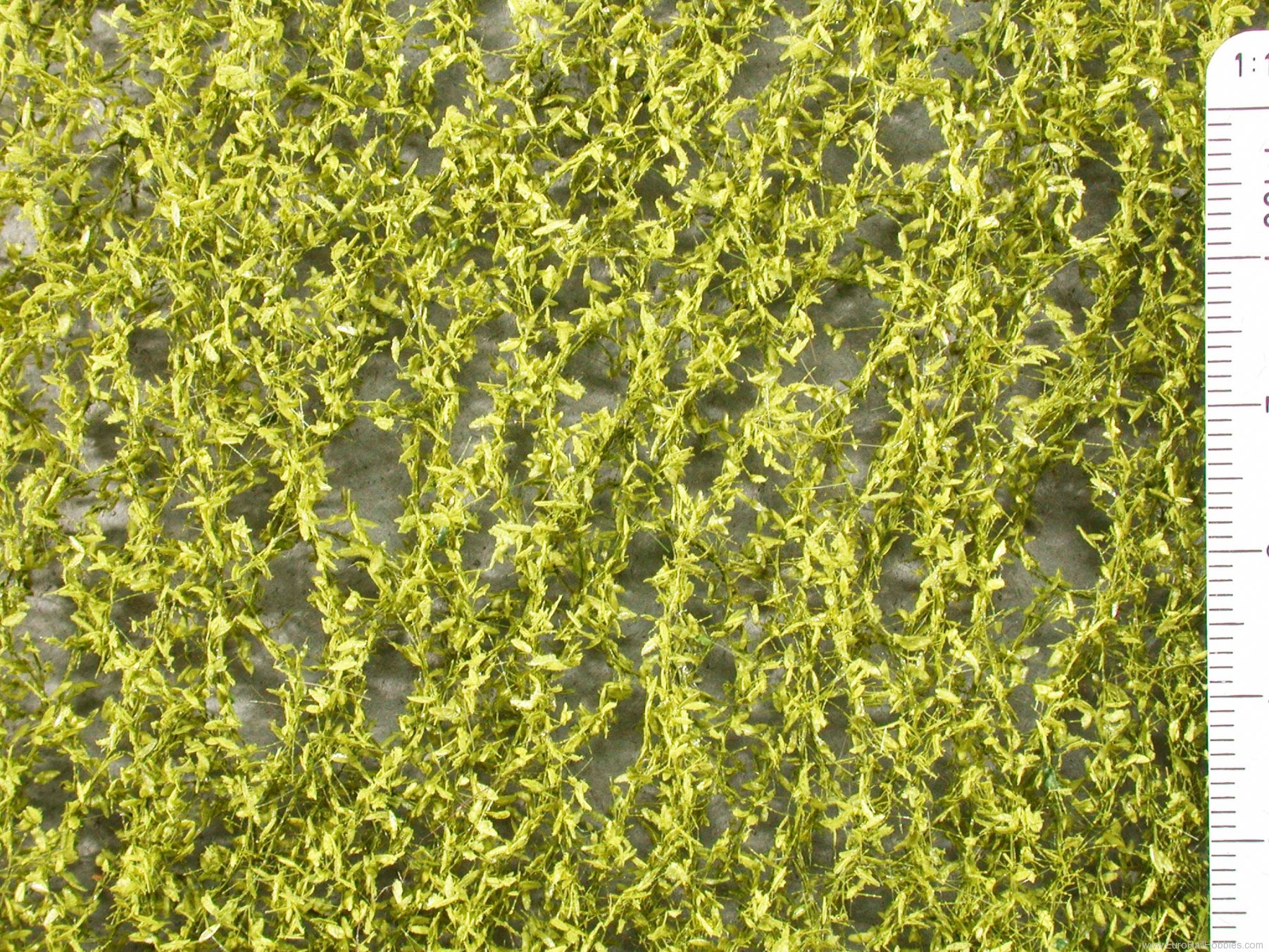 Silhouette Silflor MiniNatur 940-21H Weeping Willow foliage, Spring   50x31,5 cm