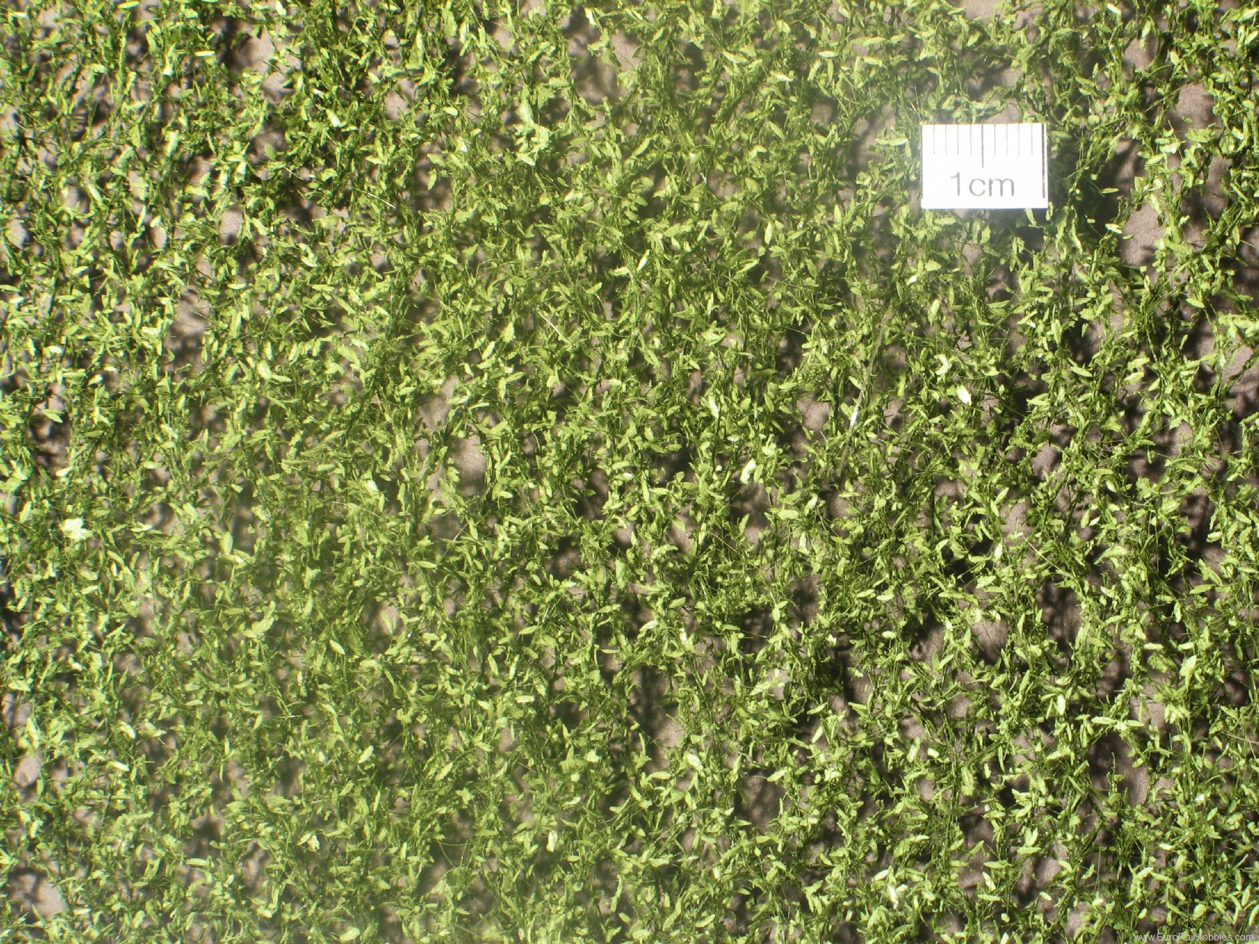Silhouette Silflor MiniNatur 940-22 Weeping Willow foliage, Summer   27x15 cm