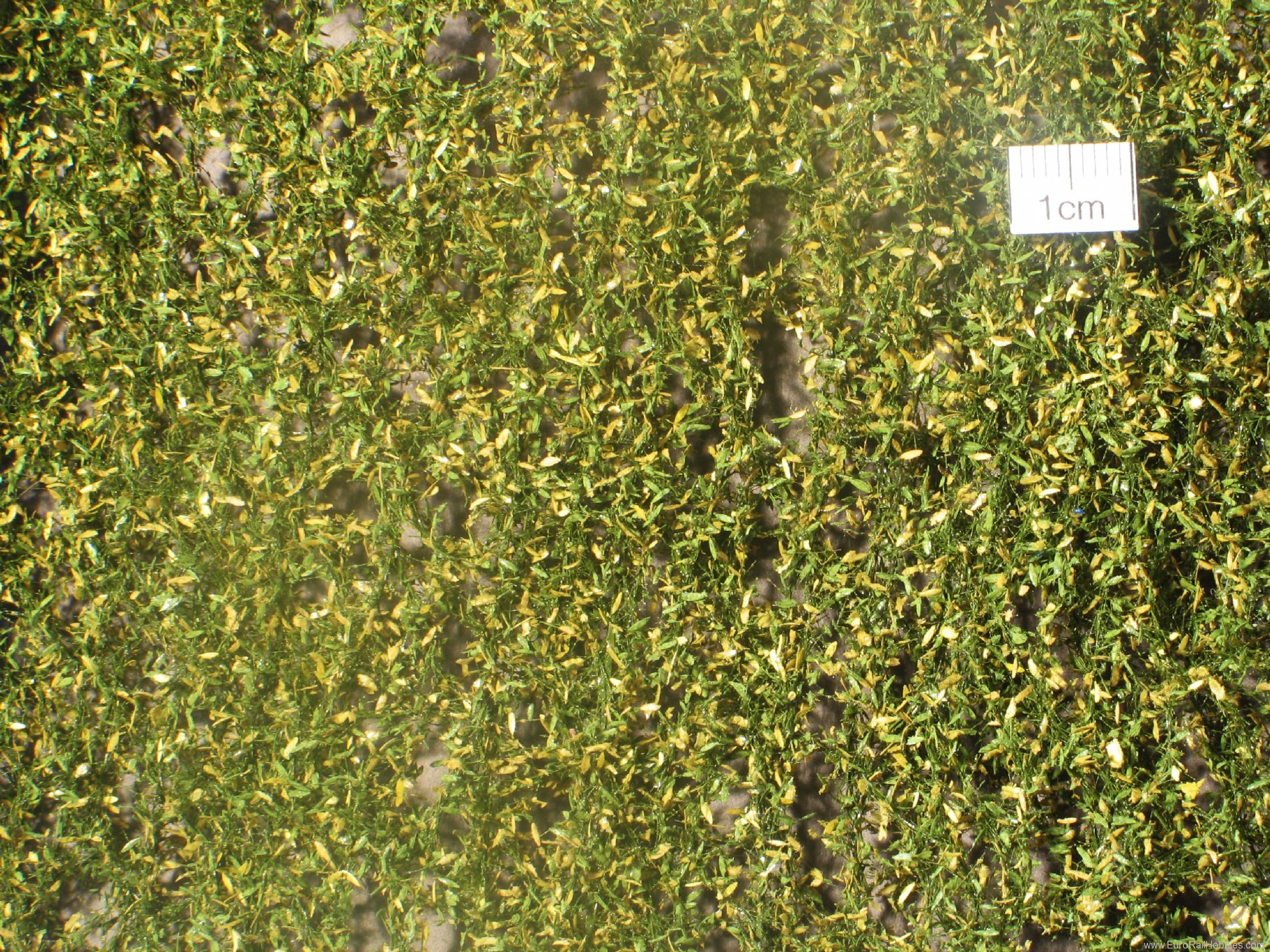Silhouette Silflor MiniNatur 940-23S Weeping Willow foliage, Early Fall  15x4 cm