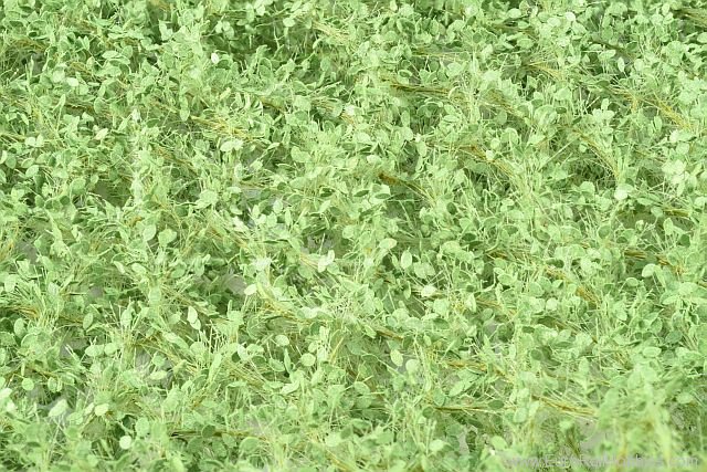Silhouette Silflor MiniNatur 942-22G Lime foliage, Summer   63x50 cm