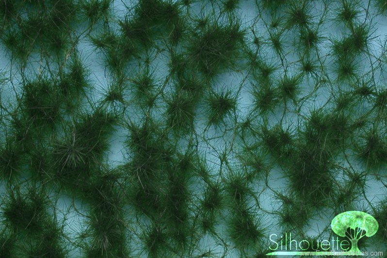 Silhouette Silflor MiniNatur 970-32G Forest pine, Summer (63x50 cm)