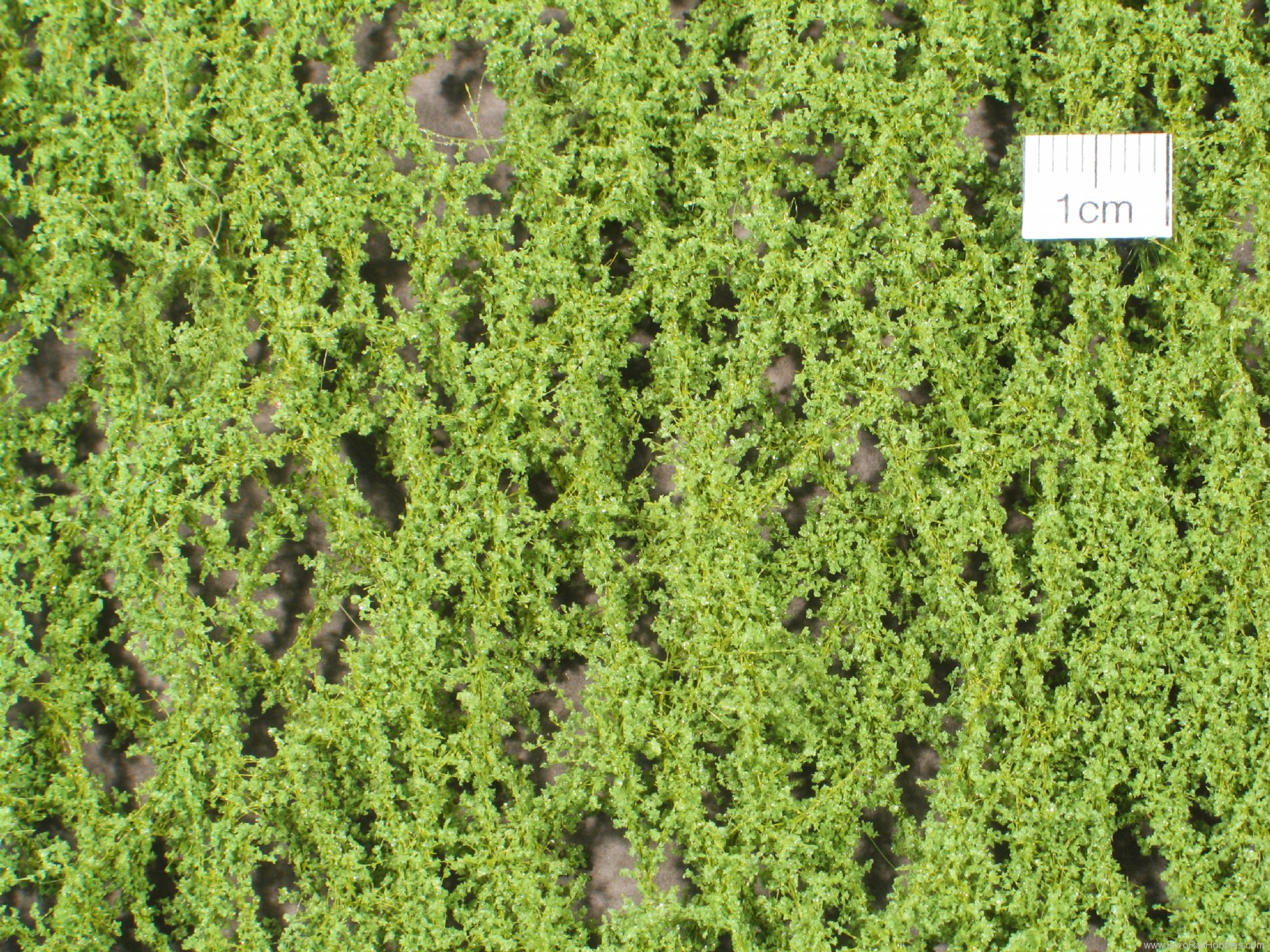 Silhouette Silflor MiniNatur 980-11H Oak foliage, Spring (50x31,5 cm)