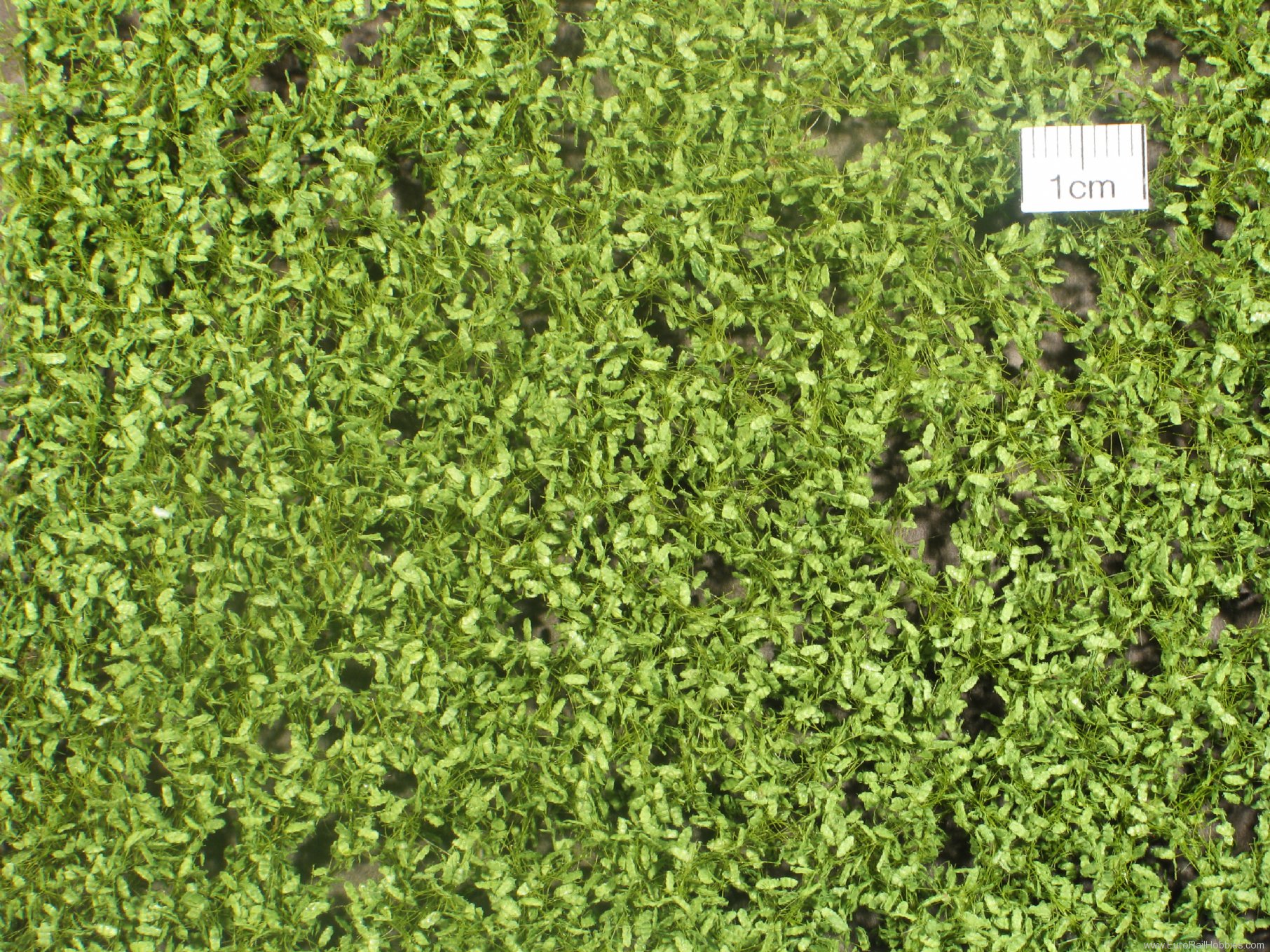 Silhouette Silflor MiniNatur 980-21 Oak foliage, Spring   27x15 cm