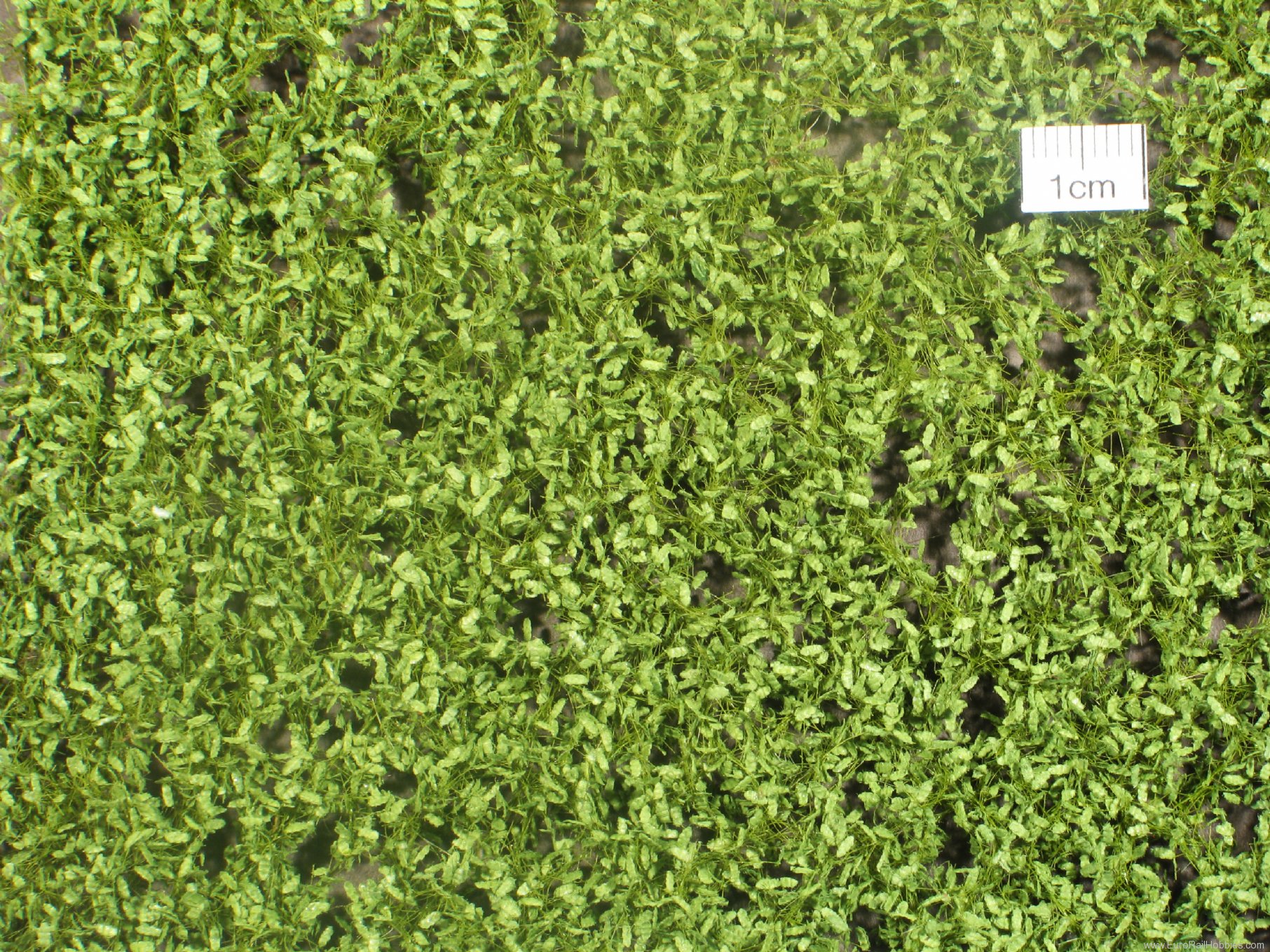 Silhouette Silflor MiniNatur 980-21H Oak foliage, Spring (50x31,5 cm)