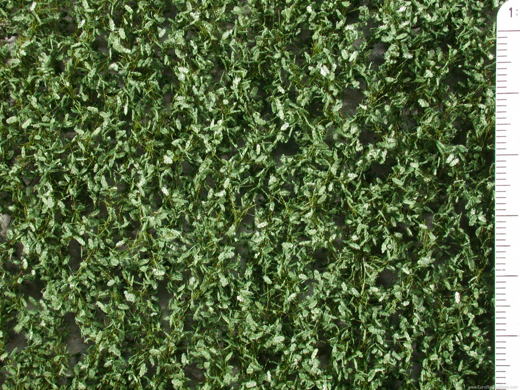 Silhouette Silflor MiniNatur 980-22 Oak foliage, Summer (27x15 cm)