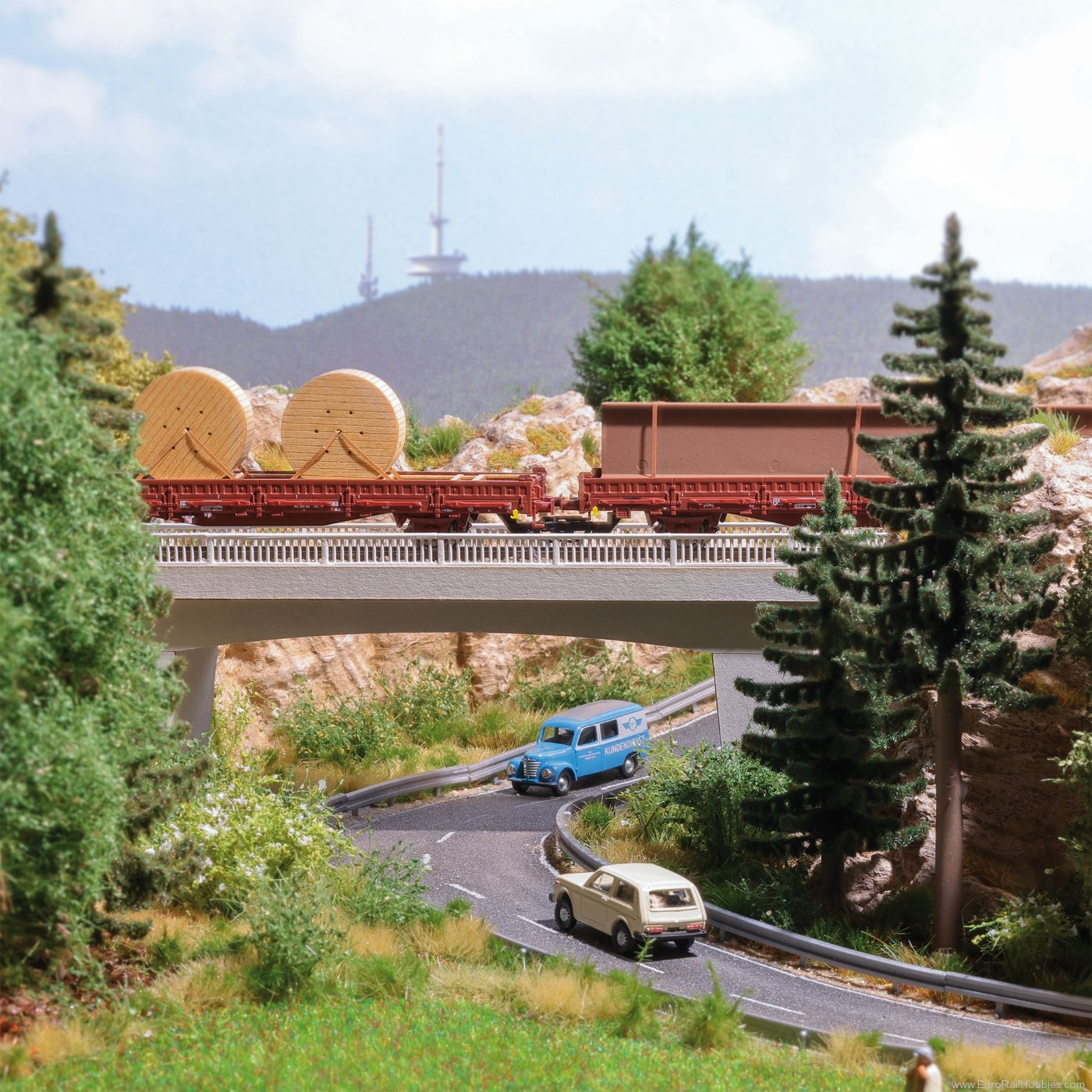 Busch 1100 Busch Road overpass