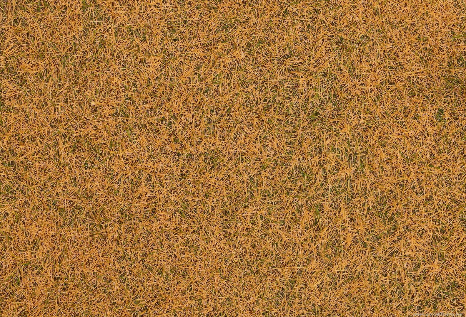 Faller 170223 Grass fibres, beige, 4 mm, 20 g