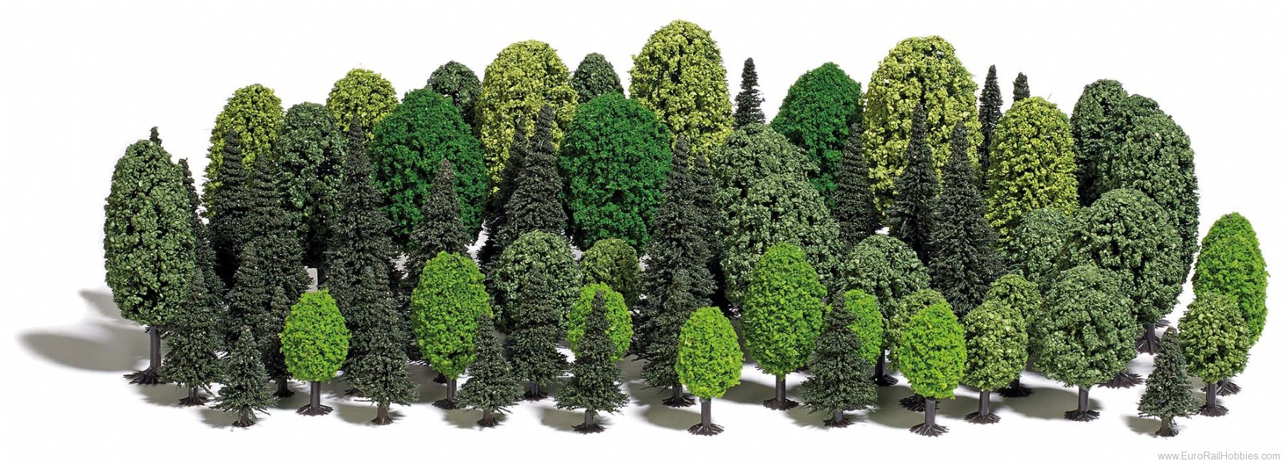 Tree 40. Tree 40