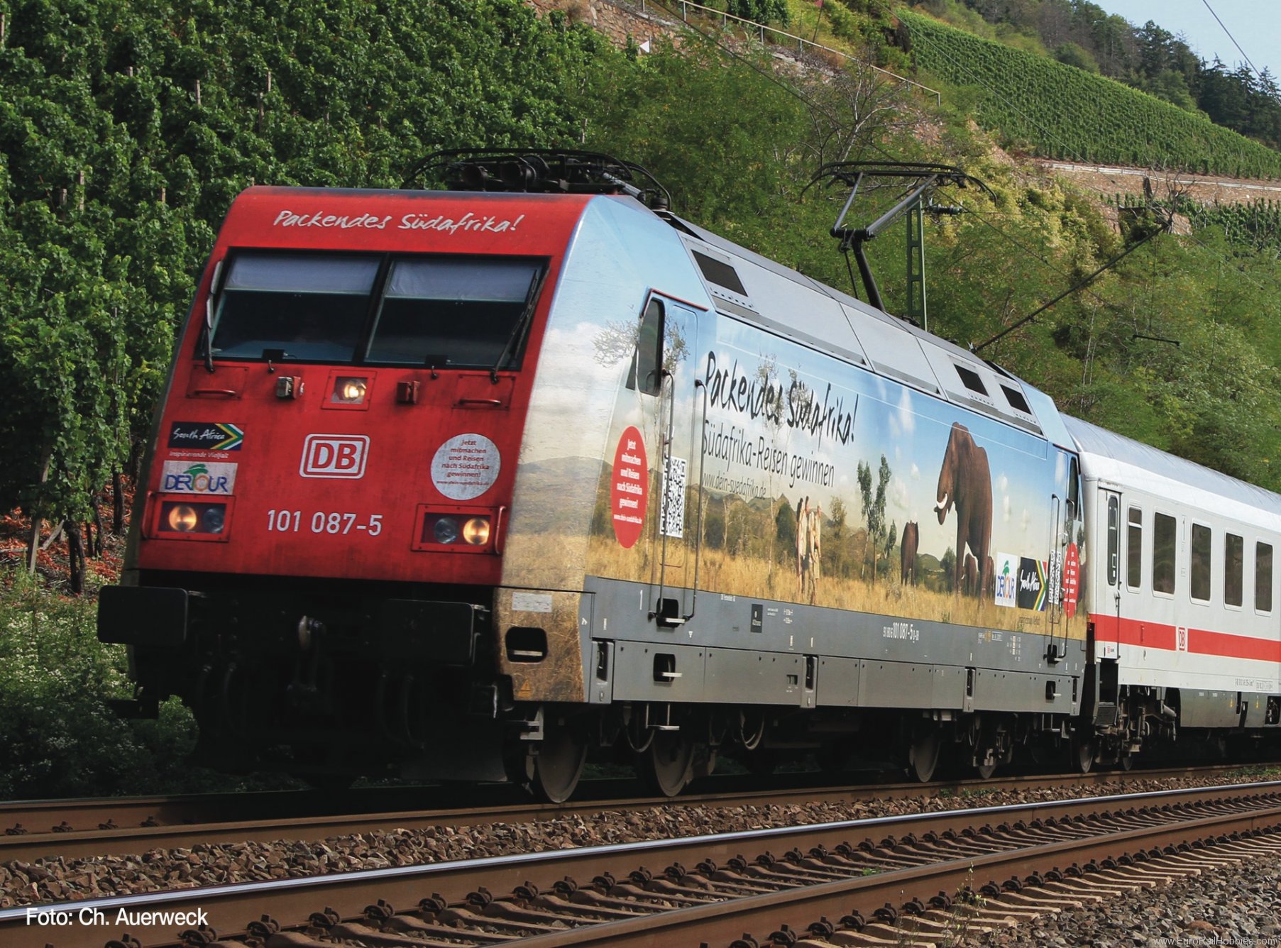 Roco 73427 Electric locomotive BR 101 Sudafrika South Af