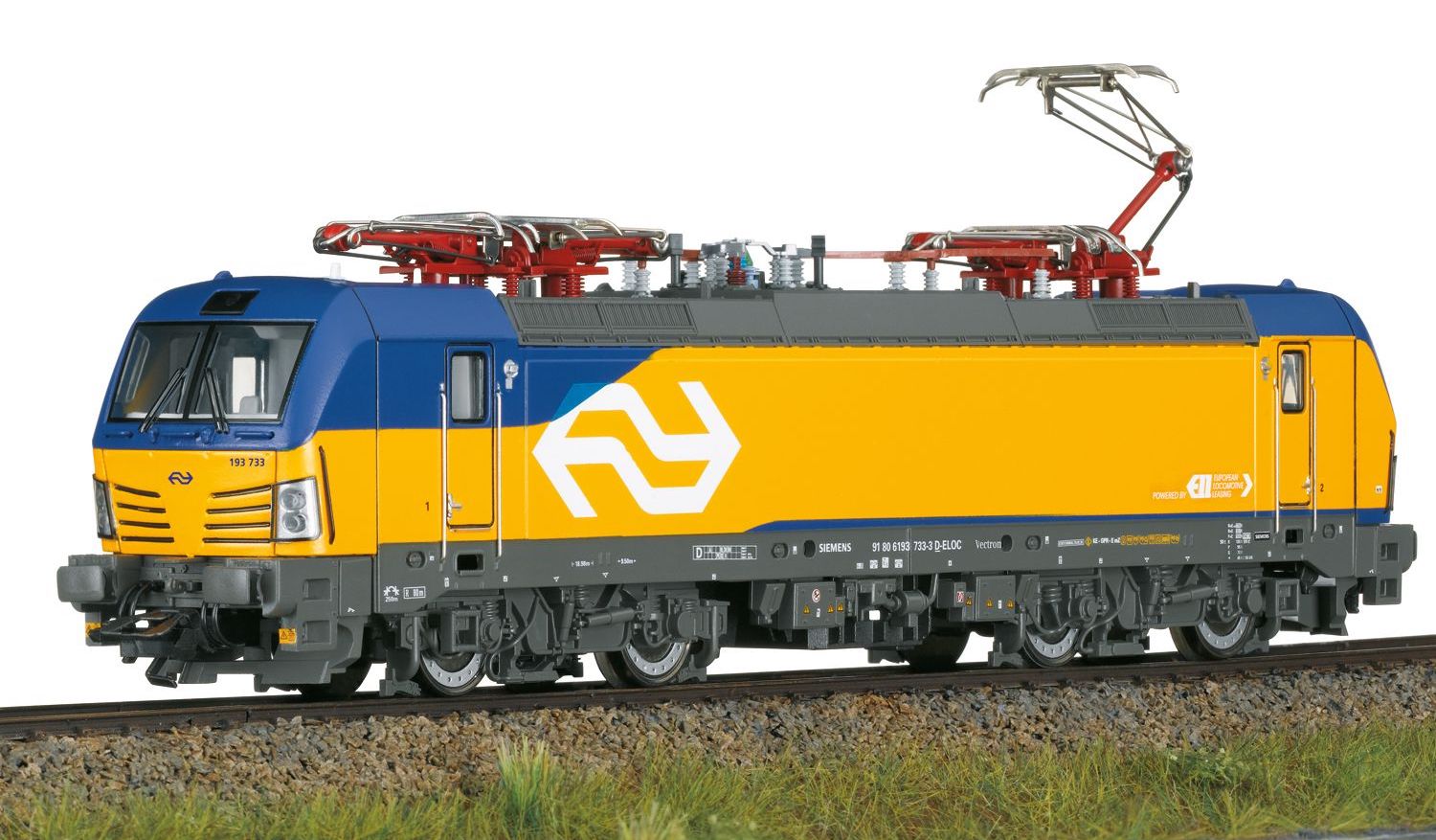 T25198.jpg