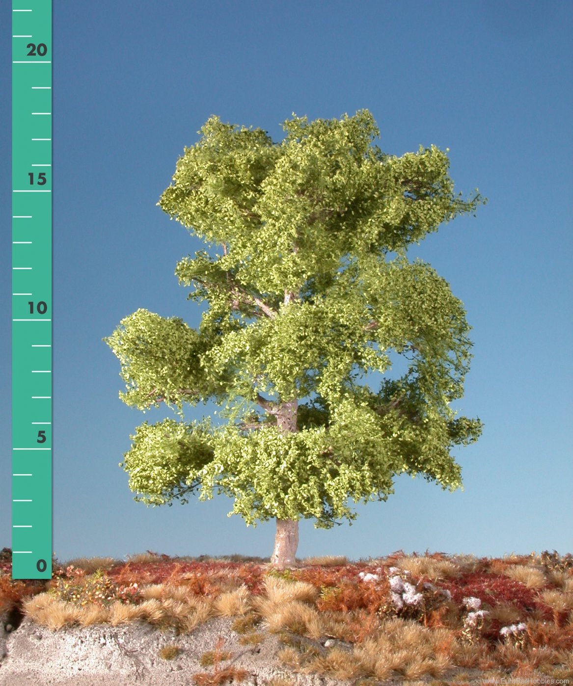 Silhouette Silflor MiniNatur 220-31 Beech, Spring (22-29cm)