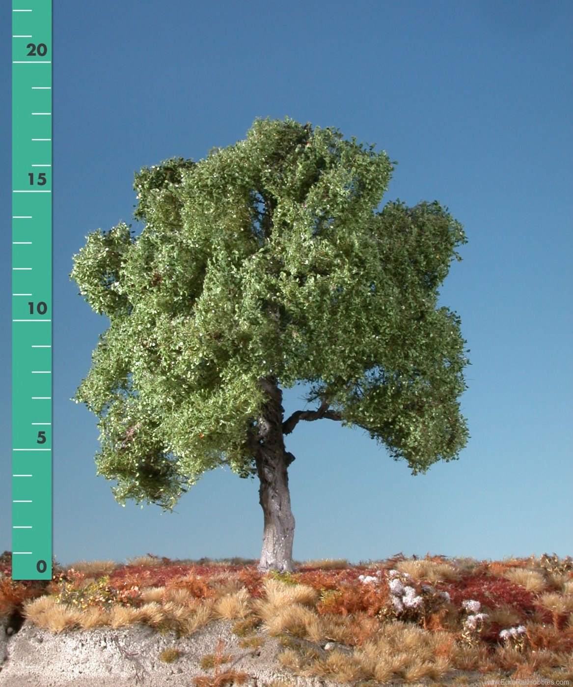 Silhouette Silflor MiniNatur 220-32 Beech, Summer (22-29cm)