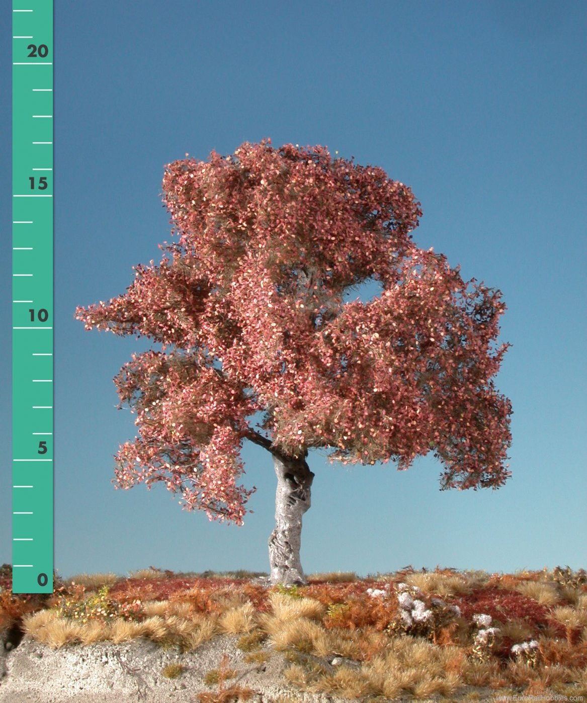 Silhouette Silflor MiniNatur 220-34 Beech, Late Fall (22-29cm)