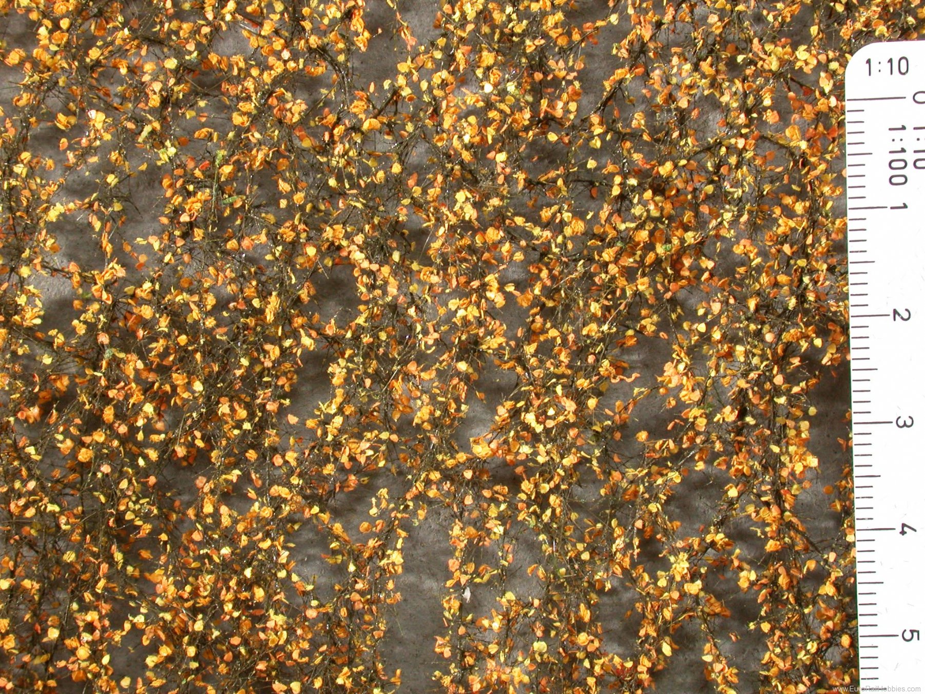 Silhouette Silflor MiniNatur 910-24G Birch foliage, Late Fall (63x50 cm)